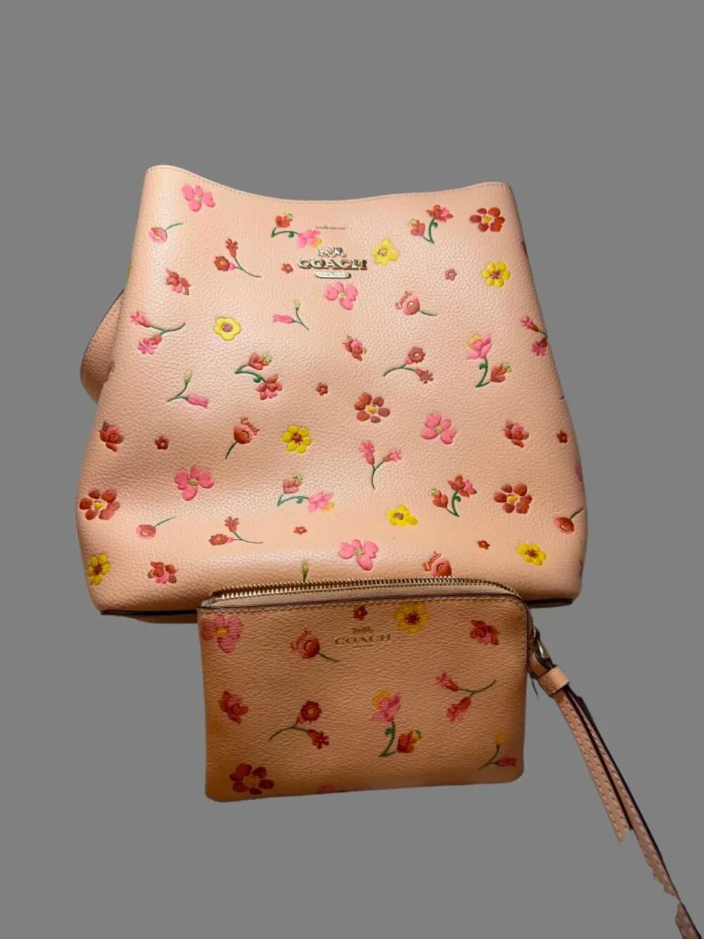 Pink Coach Purse and Coin Purs